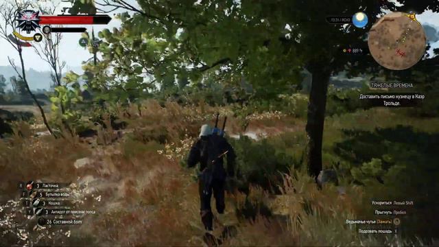 🔴 The Witcher 3 Wild Hunt ПРОХОЖДЕНИЕ #32 ДОПОЛНИТЕЛЬНЫЕ ЗАДАНИЯ СКЕЛЛИГЕ 🎮 смотреть онлайн