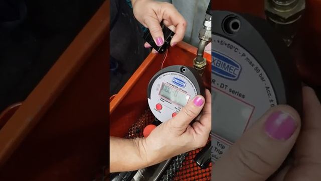 Flexbimec International / Oil DT Flow Meter calibration process смотреть онлайн
