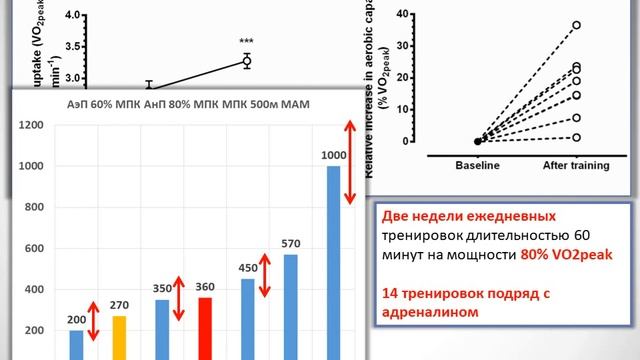 Тема №5. Индивидуальные реакции на нагрузку в тренировках цикликов - Александр Вертышев смотреть онлайн
