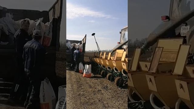 Посевная 2021 смотреть онлайн