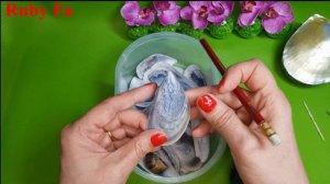 Ракушки. Как их отмыть и подготовить к работе....