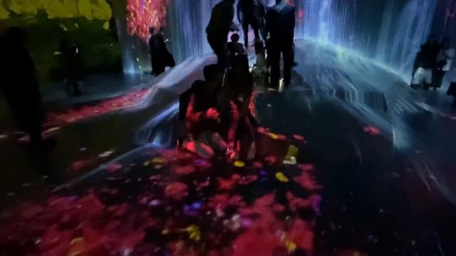 #teamLabBorderless: Вселенная водных частиц на скале, где собираются люди. смотреть онлайн