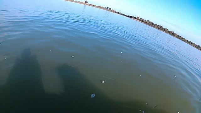 Нельма на тролинг на Иртыше омская область.2020 смотреть онлайн