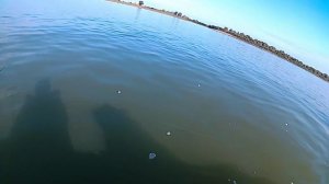 Нельма на тролинг на Иртыше омская область.2020