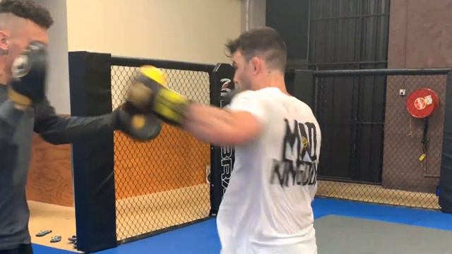 #BROGAN4UFC смотреть онлайн