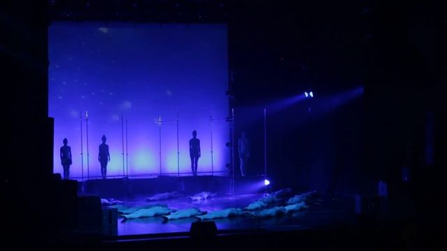 Элеганс 2018 (Арсеньев) смотреть онлайн