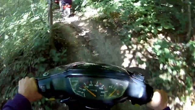 Катка по лесу на honda dio смотреть онлайн