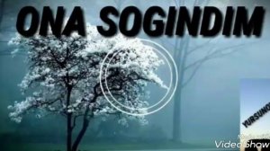 Она хакида тасирли кушик