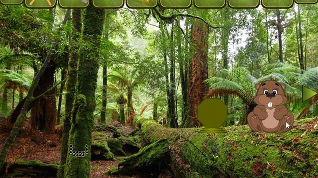 trapped monkey child escape video walkthrough смотреть онлайн