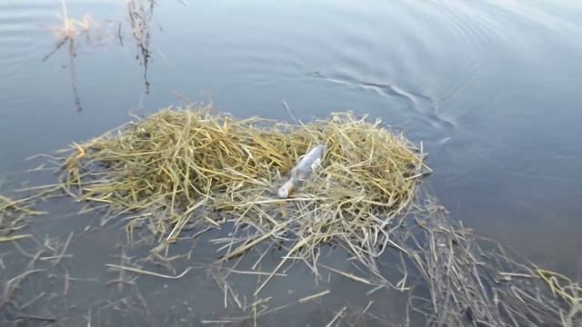 Водоворот на разливах р. Карасук смотреть онлайн