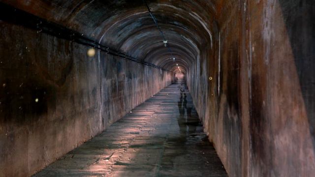 ЭХО ЗВУК | АУ | Аууу | ECHO FX | ECHO SOUND смотреть онлайн