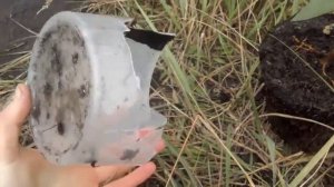 Посадка саженцев вишни. Как правильно сажать вишню осенью или весной