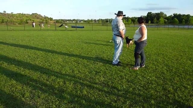 Having Fun At Dog Park Easter Day Evening, April 20/14 смотреть онлайн