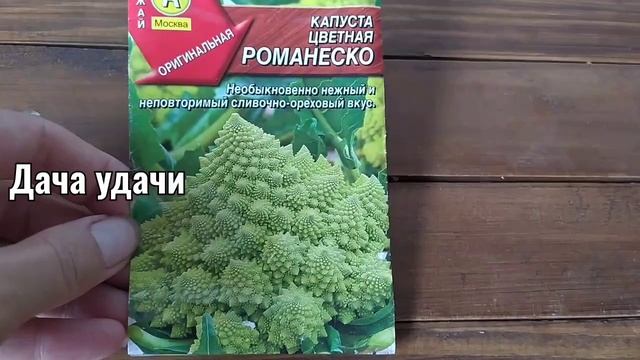 Капуста РОМАНЕСКО на даче! Как вырастить? Мой личный опыт. Дача удачи смотреть онлайн