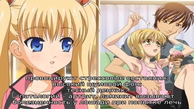 Сон лошади – спит ли конь стоя? смотреть онлайн