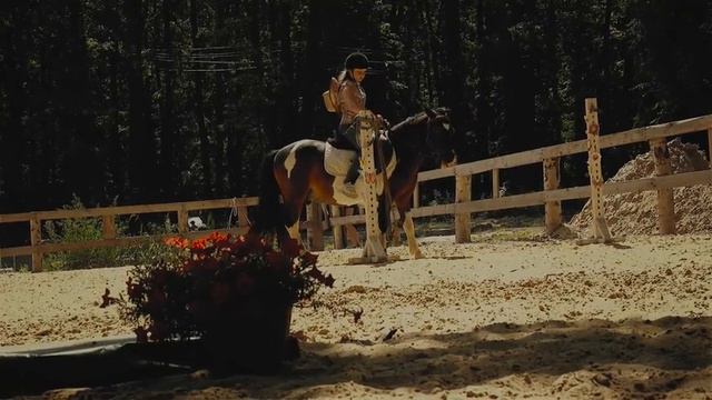 Все по коням и по пони! смотреть онлайн