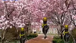 Физминутка "Весну звали"