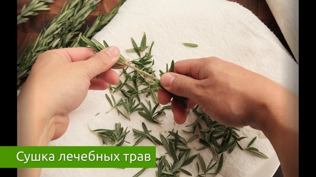 Делай То, Что Дарит Счастье