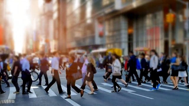 Conozca al Seguro Social смотреть онлайн