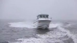 Nord Star 32 Patrol   Новая модель тесты на воде!| Yachts Expert