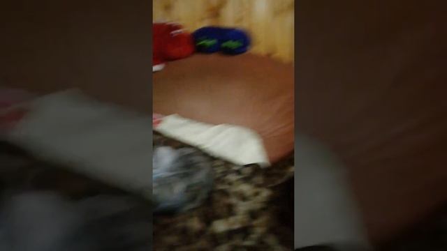 сынок допивает какао , второй играется, третий учится застёгивать и растегивать пуговицу . смотреть онлайн
