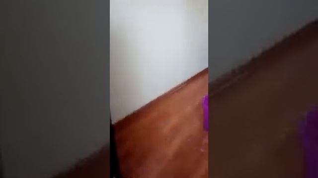 Мамина помощница.Как правильно мыть пол из ламината. смотреть онлайн