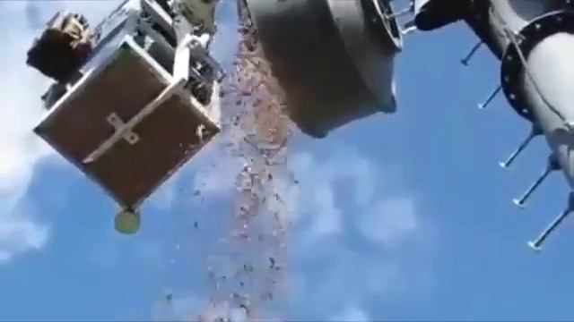 Белка всю жизнь собирала орехи в антенну = смотреть онлайн