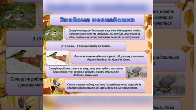 Синичкин день смотреть онлайн