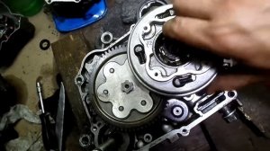 Сборка сцепления орион,альфа и прочие самцы..