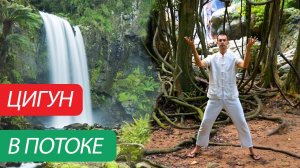Цигун в потоке. Цигун для начинающих. Уроки цигун.
