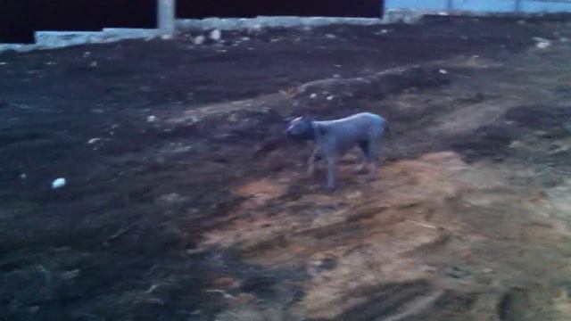 Этот опасный мир за порогом дома) 2 смотреть онлайн