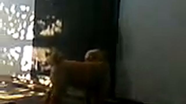 Я не могу повернуть ручку на двери!