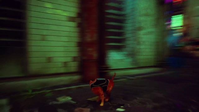 Stray #7 Коть в клубе