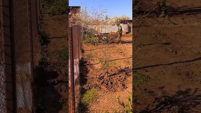 Бизнес на мотоблоке - Какие выбрать перчатки для вспашке огородов мотоблоком перчатки для мотоблока смотреть онлайн