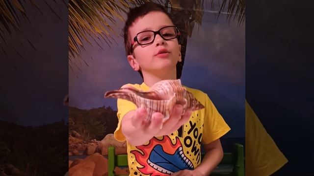 Ракушка для прослушивания «шума моря» смотреть онлайн