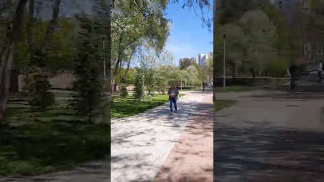 Весна .6 мая 2022 год, Парк Победы, магнолии... мой живой дневник "Нежное утро" смотреть онлайн