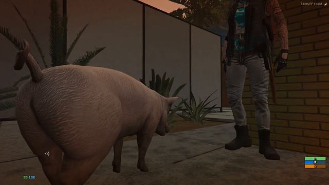 GTA 5 Role Play ► СВИНЬЯ В БЕЗУМНОМ МИРЕ ПОСТАПОКАЛИПТИКИ? ЖРАТЬ ЛЮДЕЙ, ЖРАТЬ СВИНЕЙ ● Спин-офф 2/2 смотреть онлайн