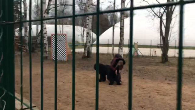 РЧТ Сдача ОКД