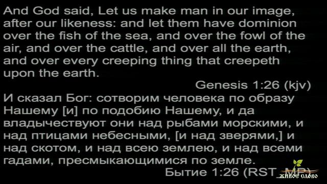 Молодежная конференция "Выбирай" 2019 смотреть онлайн