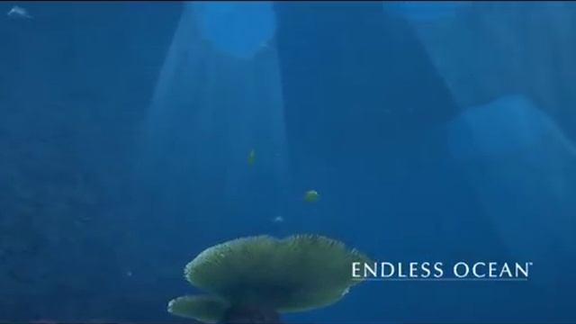 Endless Ocean - Prayer, Hayley Westenra смотреть онлайн