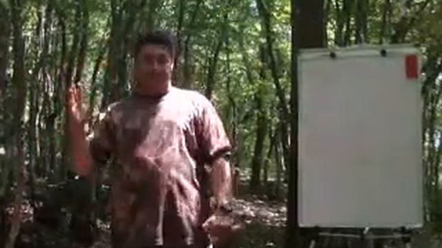 ВИС Дессетер - мнения тех, кто использует технологию смотреть онлайн