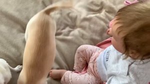 День с реборном Евой / прогулка с реборном в коляске / кормление реборна