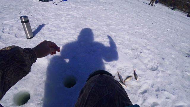 ВОТ ЭТО ЖОР!РЫБАЛКА В КОНЦЕ МАРТА смотреть онлайн