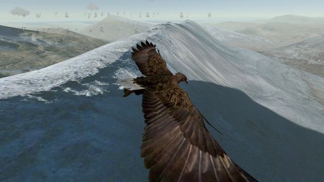 Aquila Bird Flight Simulator - Trailer - August 2017 смотреть онлайн