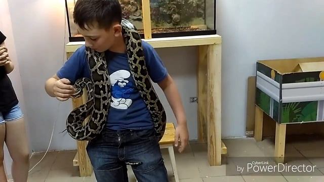 Контактный зоопарк в Витебске. Обзор! ГОУ к зверюшкам! смотреть онлайн