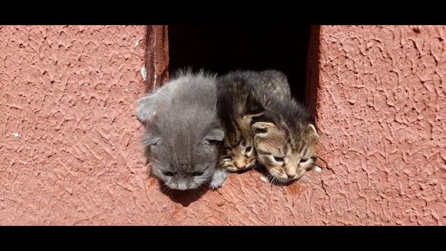 Мой мир - Лето 2022 смотреть онлайн