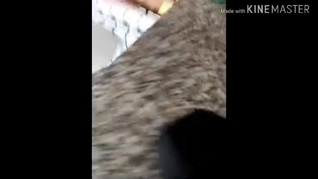 Обзор BT Колонки A102 смотреть онлайн