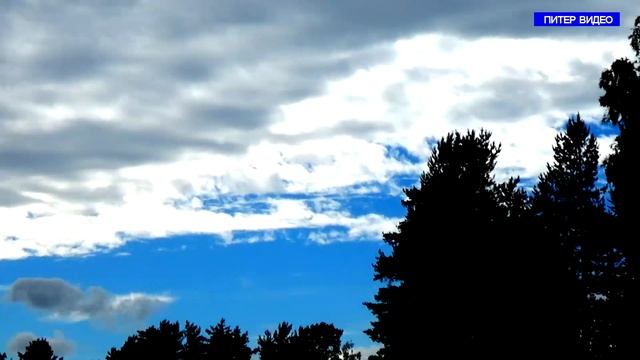 Павловский парк#Новосильвийский Мост#Район Белая береза смотреть онлайн