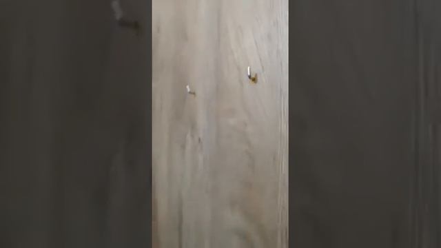 Установка и монтаж зеркала с led подсветкой смотреть онлайн