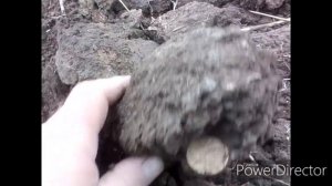 В погоне за сокровищами с Garrett AT Pro. Поиск монет.